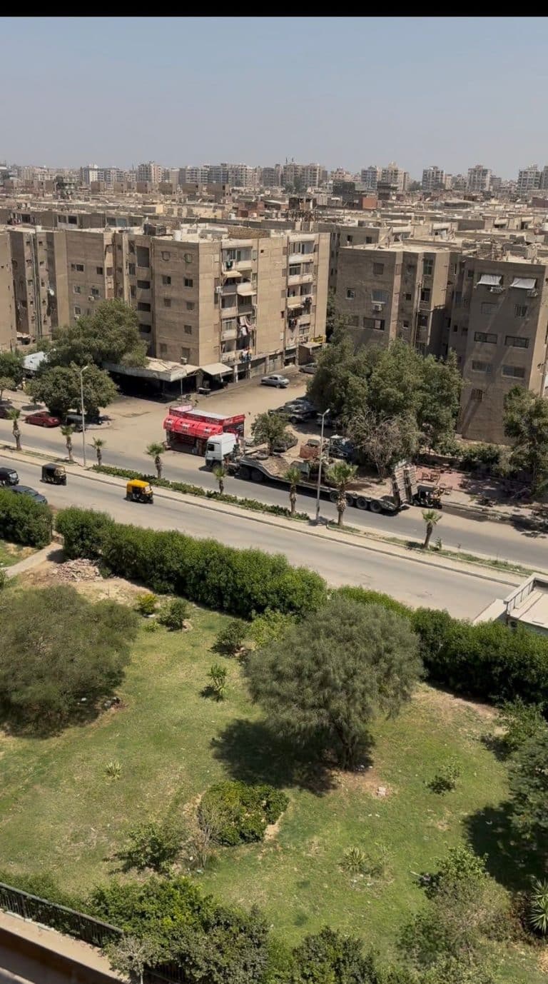 الواحة القديمة